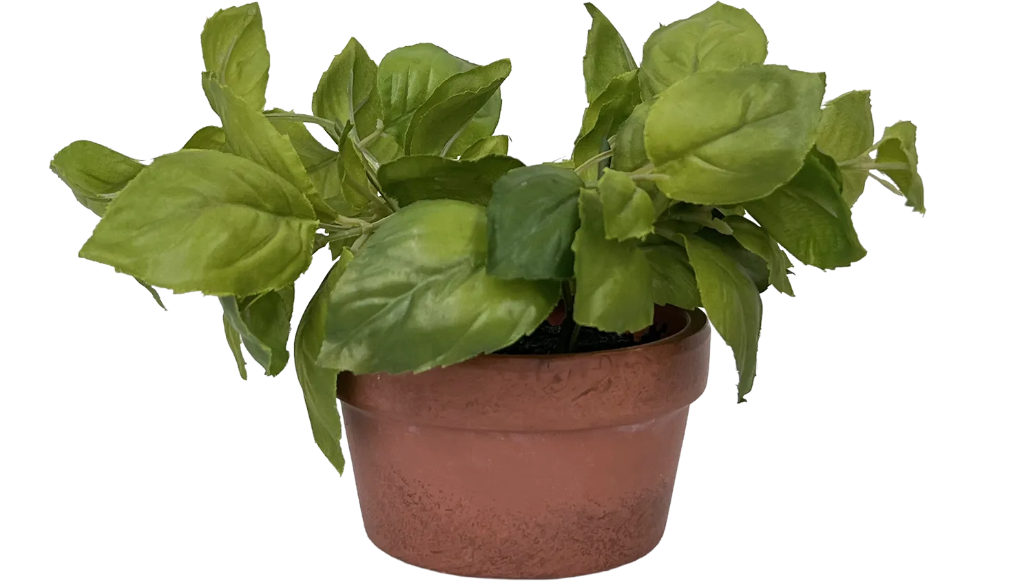 Terra Cotta Planter