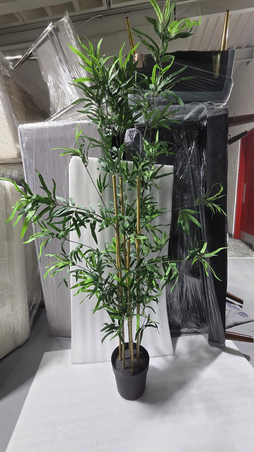 Bamboo Tree (5'10)